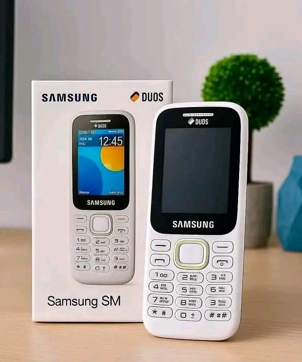 Samsung Guru Music 2 (White)